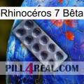 Rhinocéros 7 Bêta 30